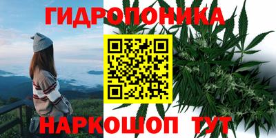 apvp Жуковский