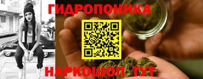 СК Заволжье