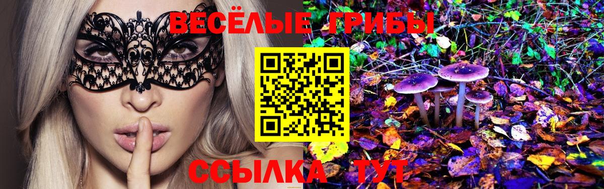 Псилоцибиновые грибы Psilocybe Качканар