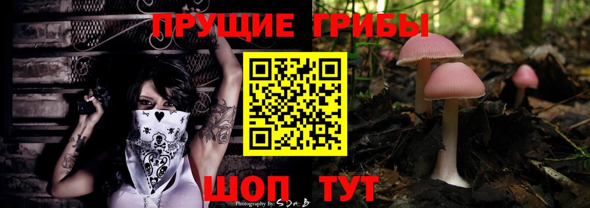Псилоцибиновые грибы GOLDEN TEACHER  Псилоцибиновые грибы GOLDEN TEACHER  Качканар  Вход с VPN 