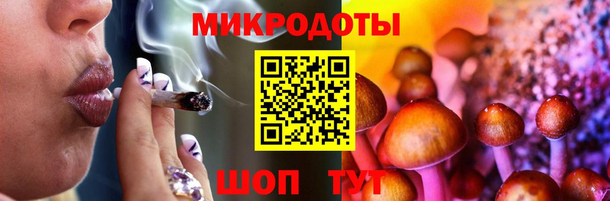 Галлюциногенные грибы Psilocybe  Качканар 